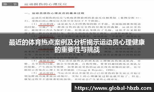黑白体育直播高清